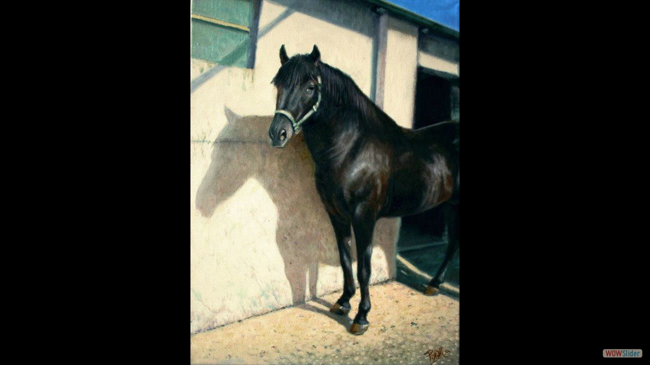 Caballo. 40 x 30 cms. Óleo sobre lienzo