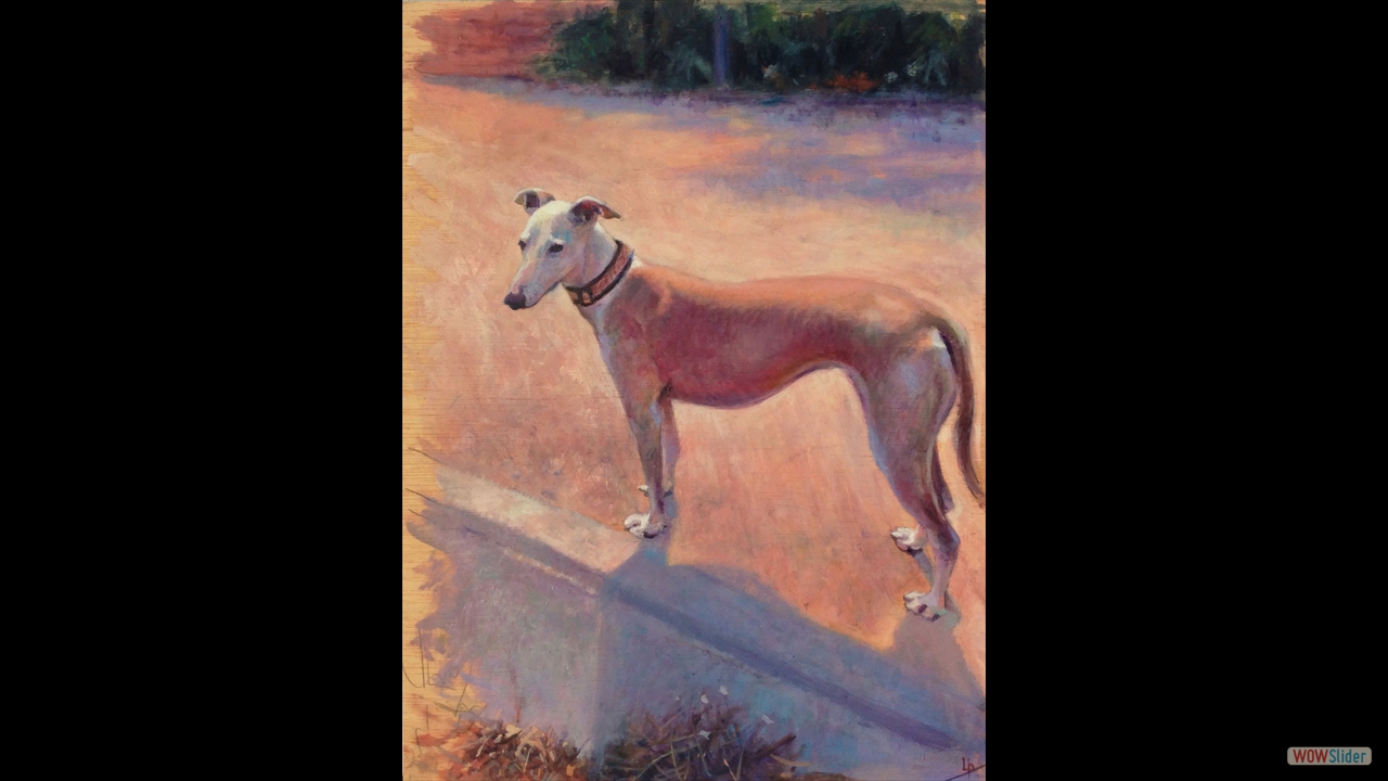 Galgo a contraluz. 30 x 20 cms. Óleo sobre tabla.
