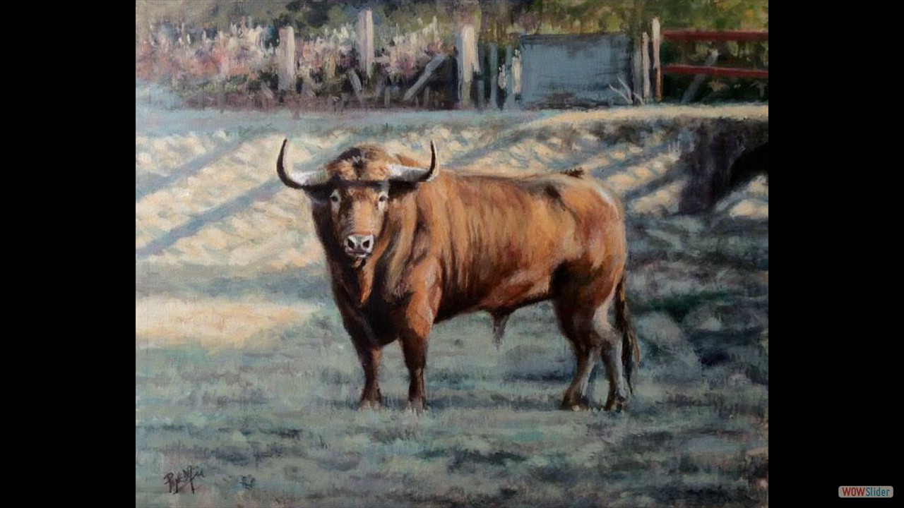 Toro de Juan Pedro Domecq. 20 x 30 cms. Óleo sobre papel.
