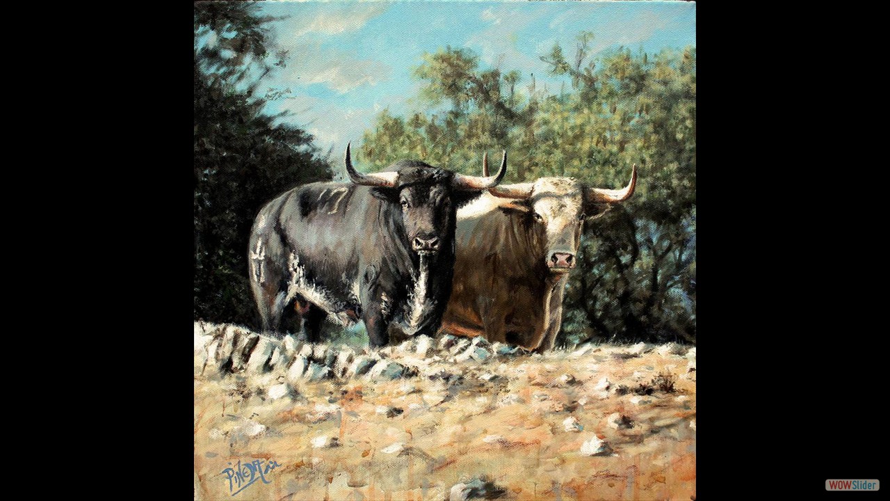 Juampedros. 30 x 30 cms. Óleo sobre lienzo.