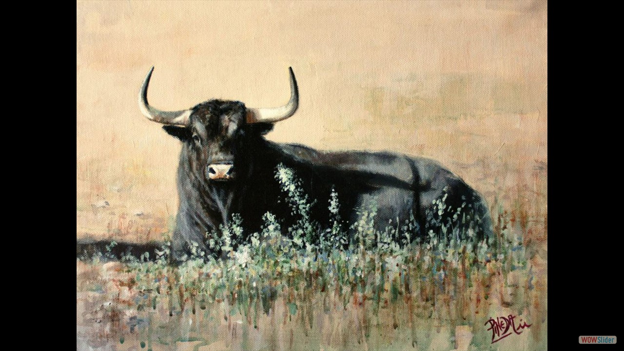 Duermevela. 30 x 40 cms. Óleo sobre lienzo.