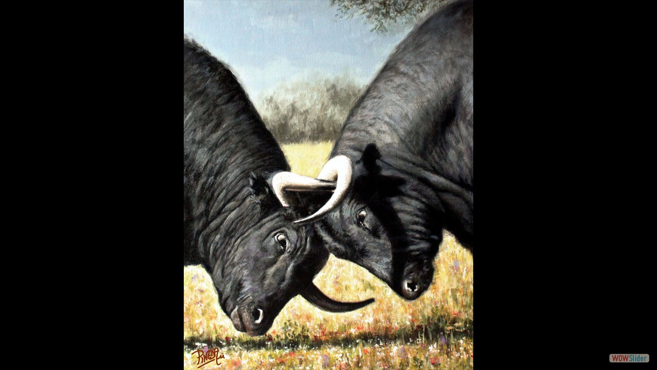 Fuerzas opuestas. 50 x 40 cms. Óleo sobre lienzo.