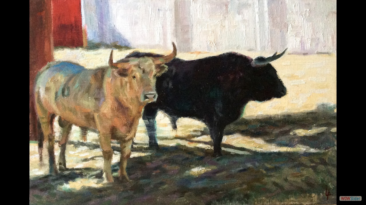 Toros en sombra. 20 x 30 cms. Óleo sobre tabla.